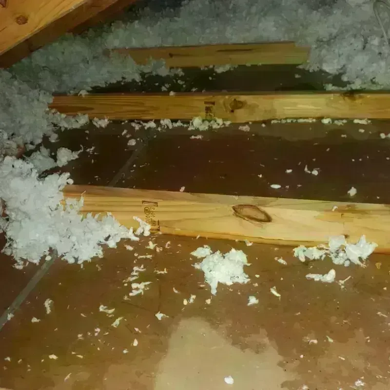 Attic Water Damage in Hinesburg, VT